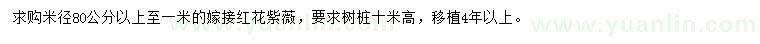 求購米徑80-100公分紅花紫薇