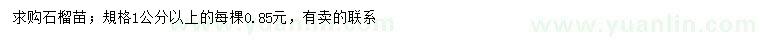 求購1公分以上石榴苗