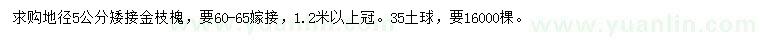 求購地徑5公分金枝槐