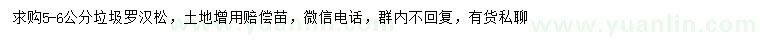 求購5-6公分垃圾羅漢松