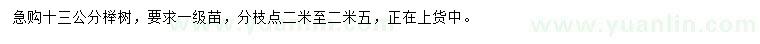 求購13公分櫸樹