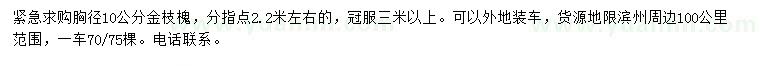 求購胸徑10公分金枝槐