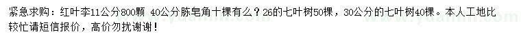求購紅葉李、皂角、七葉樹