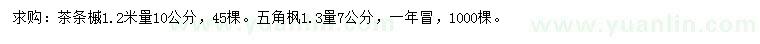 求購1.2米量10公分茶條槭、1.3量7公分五角楓