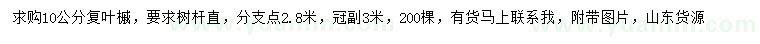 求購10公分復(fù)葉槭