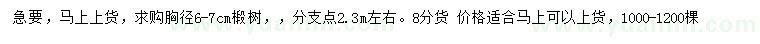 求購(gòu)胸徑6-7公分椴樹