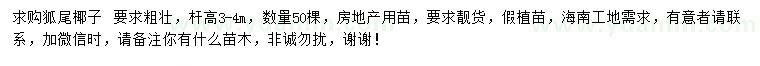 求購(gòu)桿高3-4米狐尾椰子