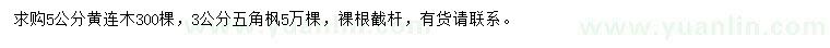 求購5公分黃連木、3公分五角楓