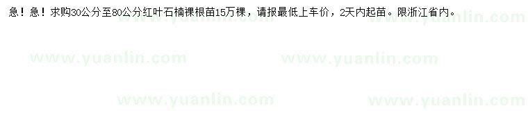 求購30-80公分紅葉石楠苗