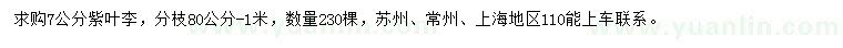求購(gòu)7公分紫葉李
