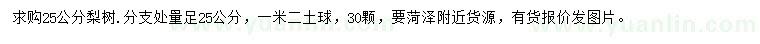 求購(gòu)25公分梨樹(shù)