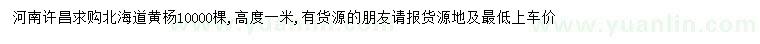 求購高1米北海道黃楊