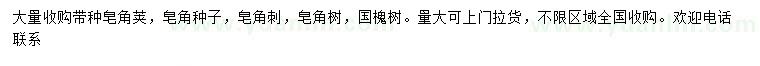 求購皂角莢、皂角種子、皂角刺等