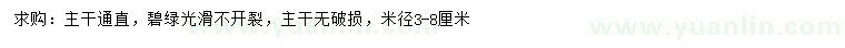 求購米徑3-8公分碧玉楊