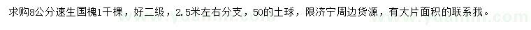 求購(gòu)8公分速生國(guó)槐