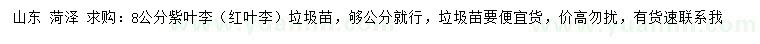 求購8公分紫葉李（紅葉李）垃圾苗
