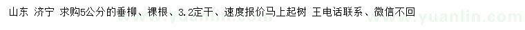 求購5公分垂柳