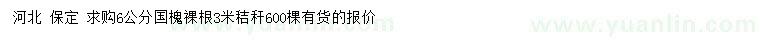 求購6公分國槐
