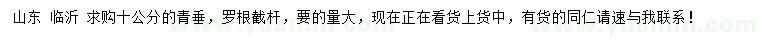 求購10公分青垂