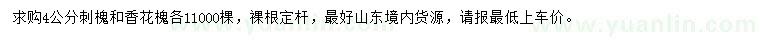 求購4公分刺槐、香花槐