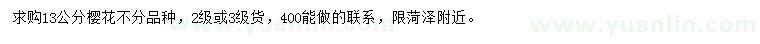 求購13公分櫻花