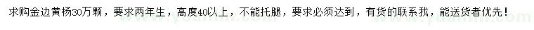 求購(gòu)高40公分以上金邊黃楊