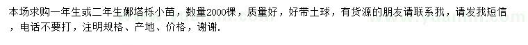 求購(gòu)一年生或二年生娜塔櫟小苗