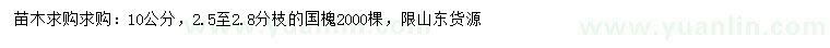 求購10公分國槐