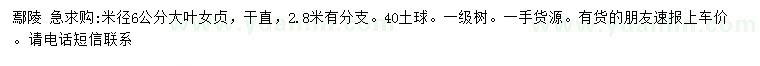 求購米徑6公分大葉女貞