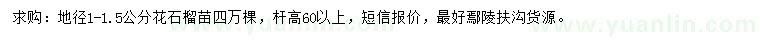 求購地徑1-1.5公分花石榴苗