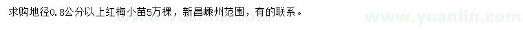 求購(gòu)地徑0.8公分以上紅梅小苗