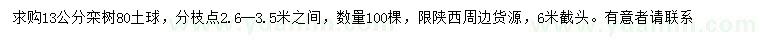 求購(gòu)13公分欒樹(shù)