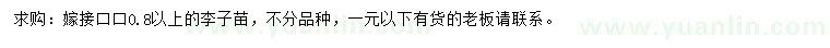 求購(gòu)0.8公分以上李子苗