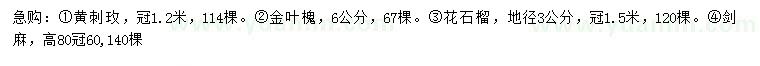 求購黃刺玫、金葉槐、花石榴等