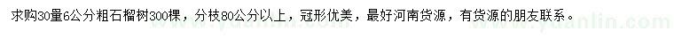 求購30量6公分石榴樹