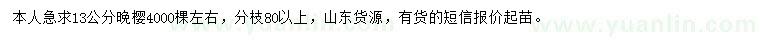 求購13公分晚櫻