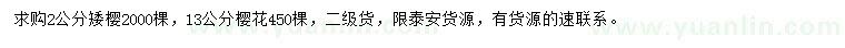 求購2公分矮櫻、13公分櫻花