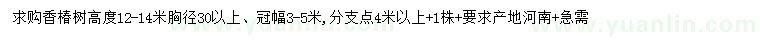 求購胸徑30公分以上香椿樹