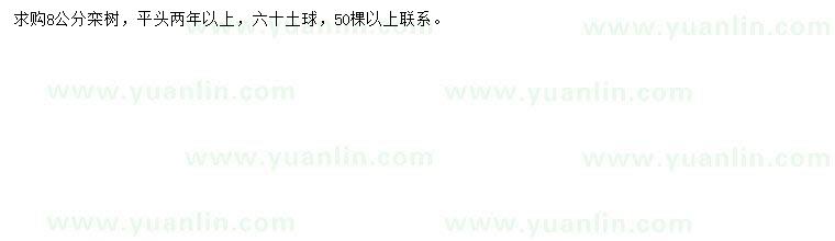 求購(gòu)8公分欒樹