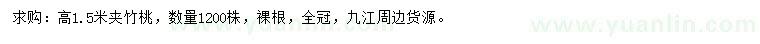 求購高1.5米夾竹桃
