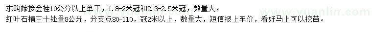 求購(gòu)10公分以上金桂、30處量8公分紅葉石楠
