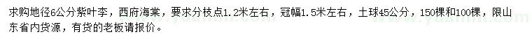 求購地徑6公分紫葉李、西府海棠
