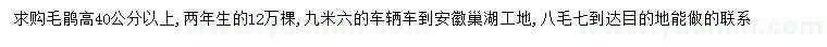 求購高40公分以上毛鵑