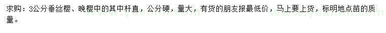 求購(gòu)3公分垂絲櫻、晚櫻