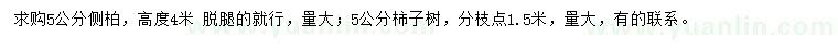 求購5公分側(cè)柏、柿子樹