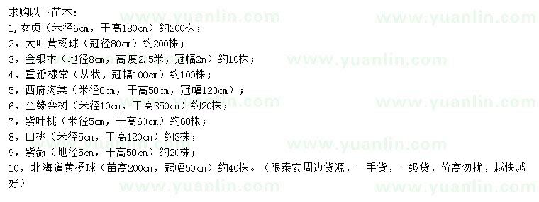 求購(gòu)女貞、大葉黃楊球、金銀木等