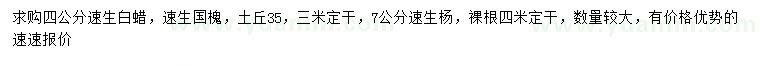 求購速生白蠟、速生國槐、速生楊