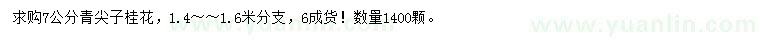 求購(gòu)7公分青尖子桂花