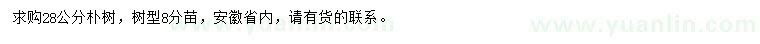求購28公分樸樹