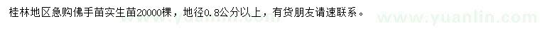 求購地徑0.8公分以上佛手苗